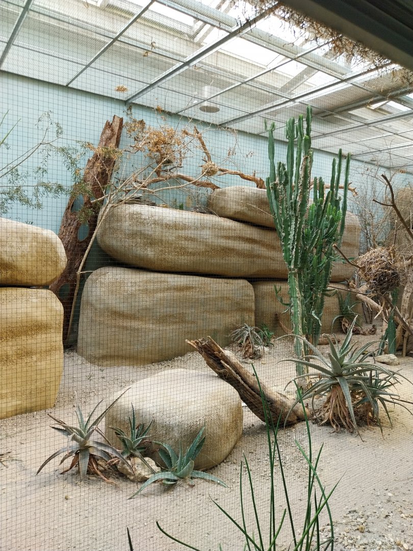 Vivarium - African savanna aviary