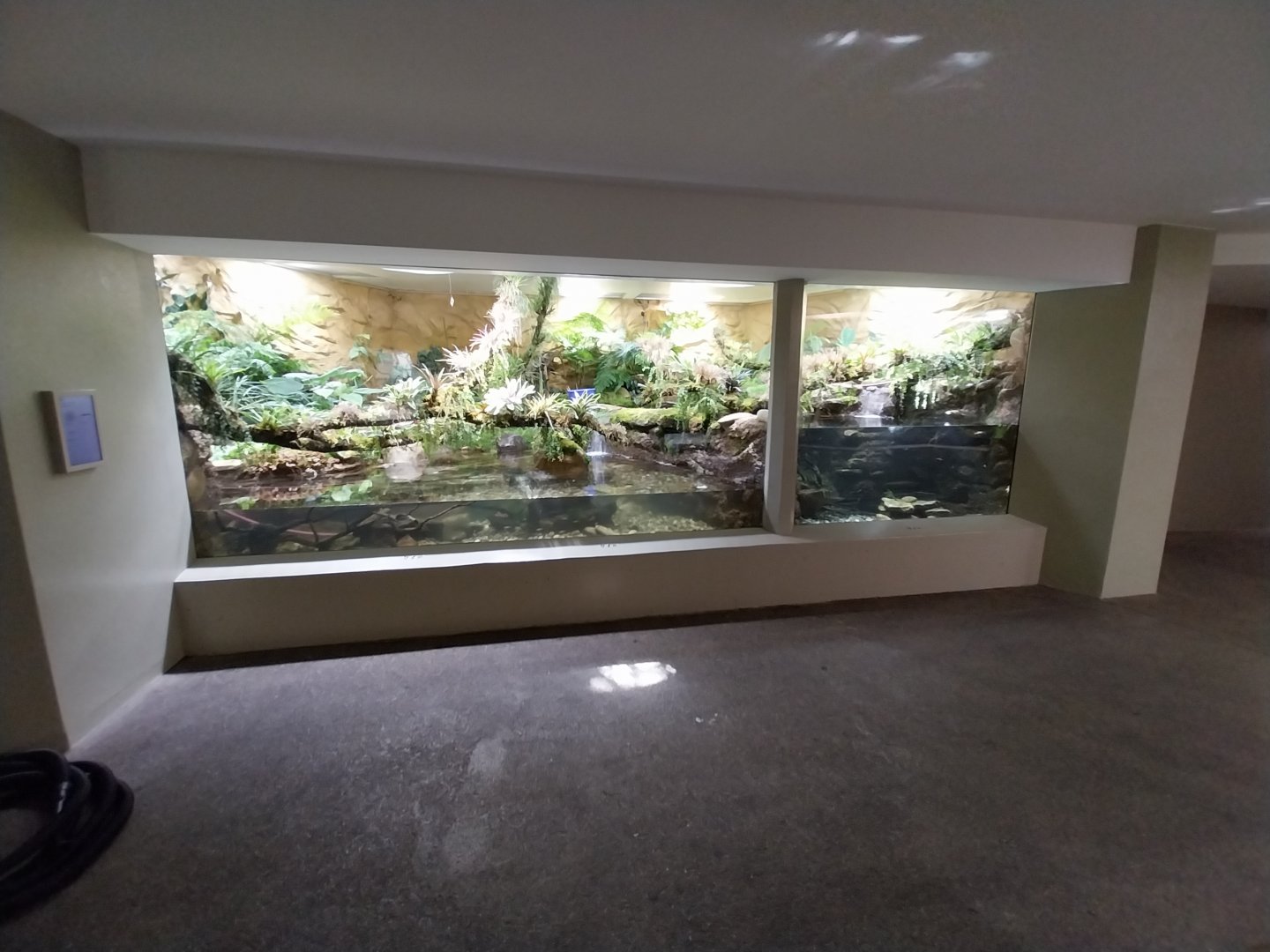 Vivarium - Appalachian paludarium enclosure