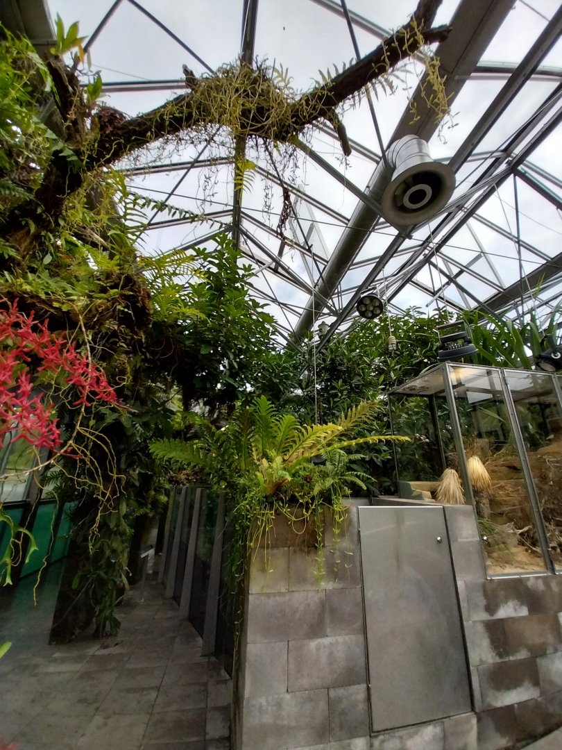 Vivarium - Aquarium corridor