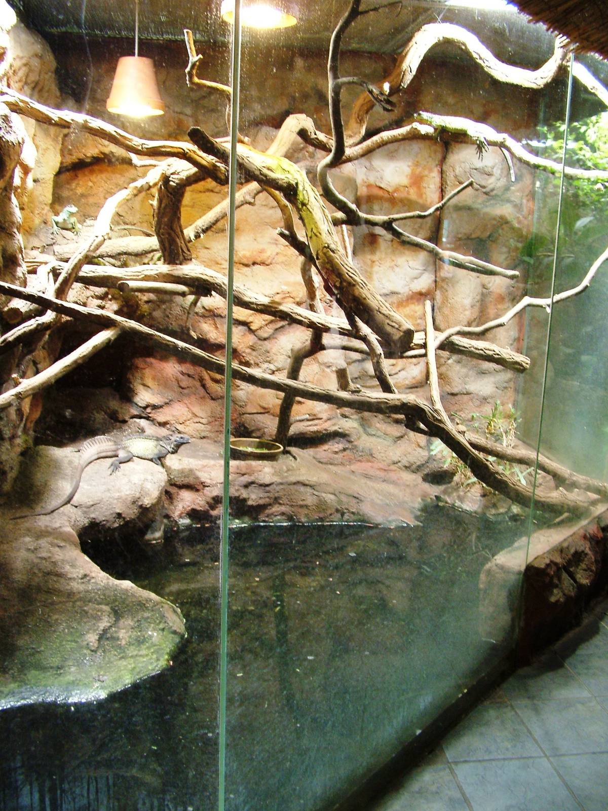 Vivarium at Liberec, 28/08/12