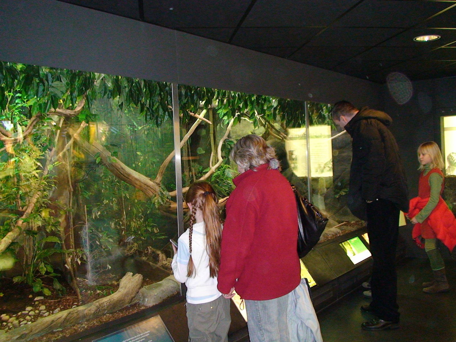 Vivarium at Manchester Museum