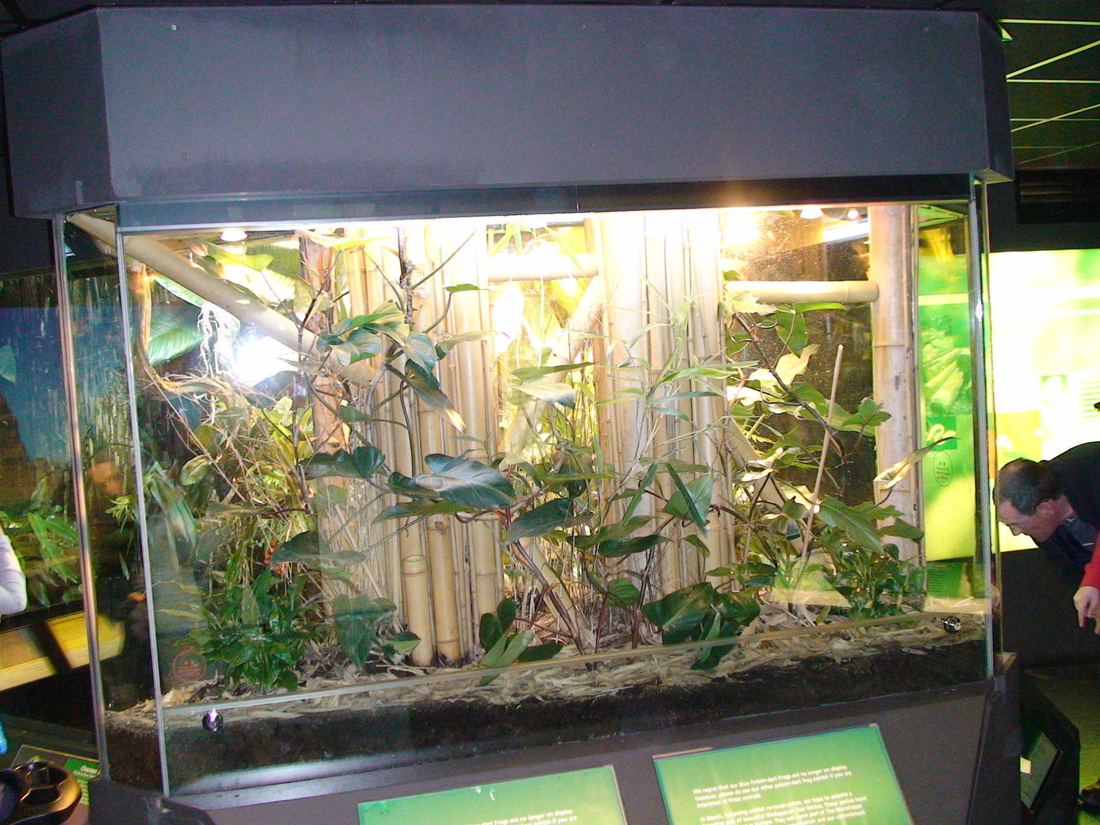 Vivarium at Manchester Museum
