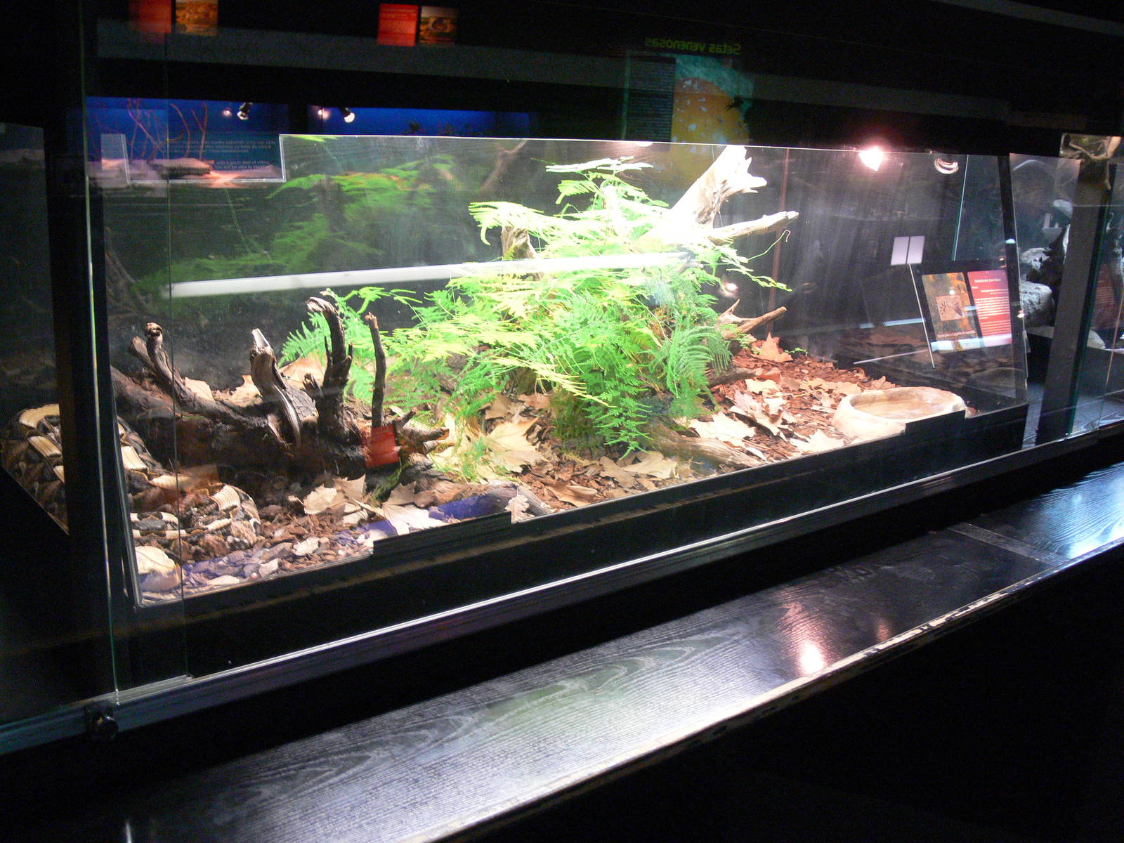 Vivarium at Terra Natura, 03/08/14