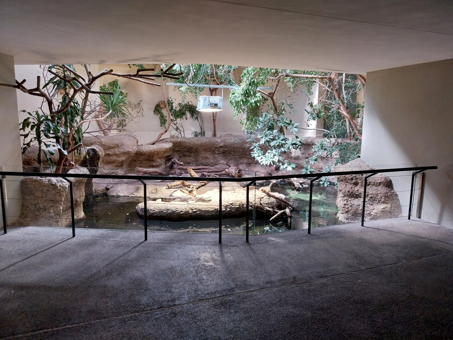 Vivarium - Australia enclosure