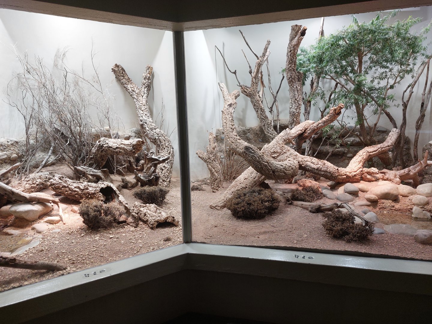 Vivarium - Australian terraria