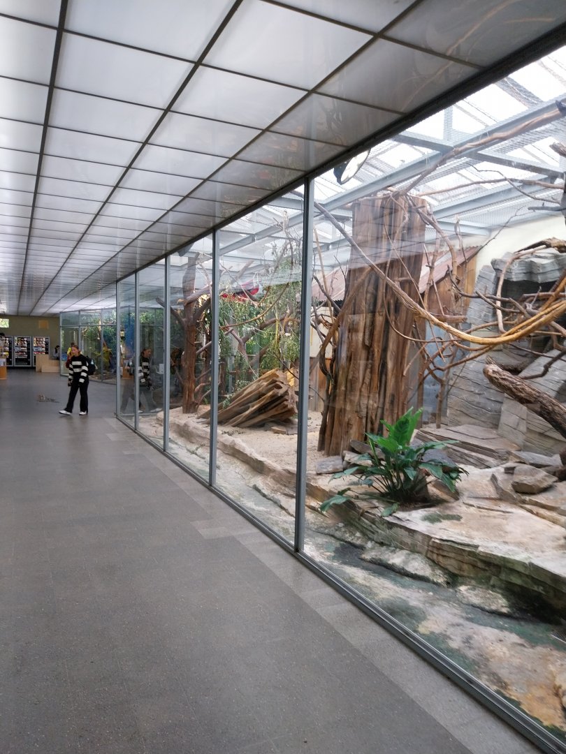 Vivarium - Bolivian squirrel monkey enclosure