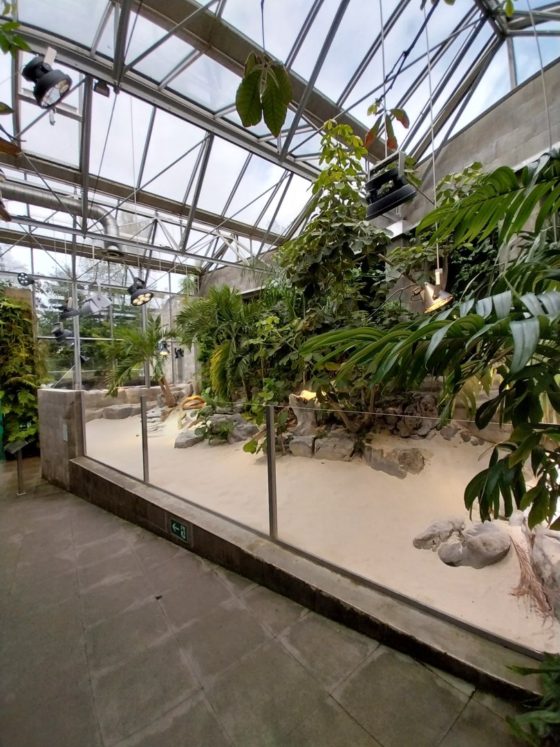 Vivarium - Caraibbean beach terrarium