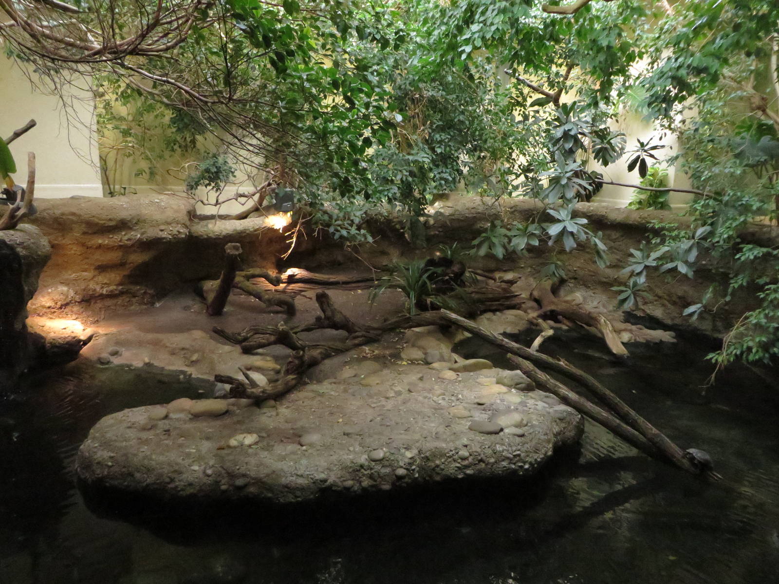 Vivarium - crocodiles