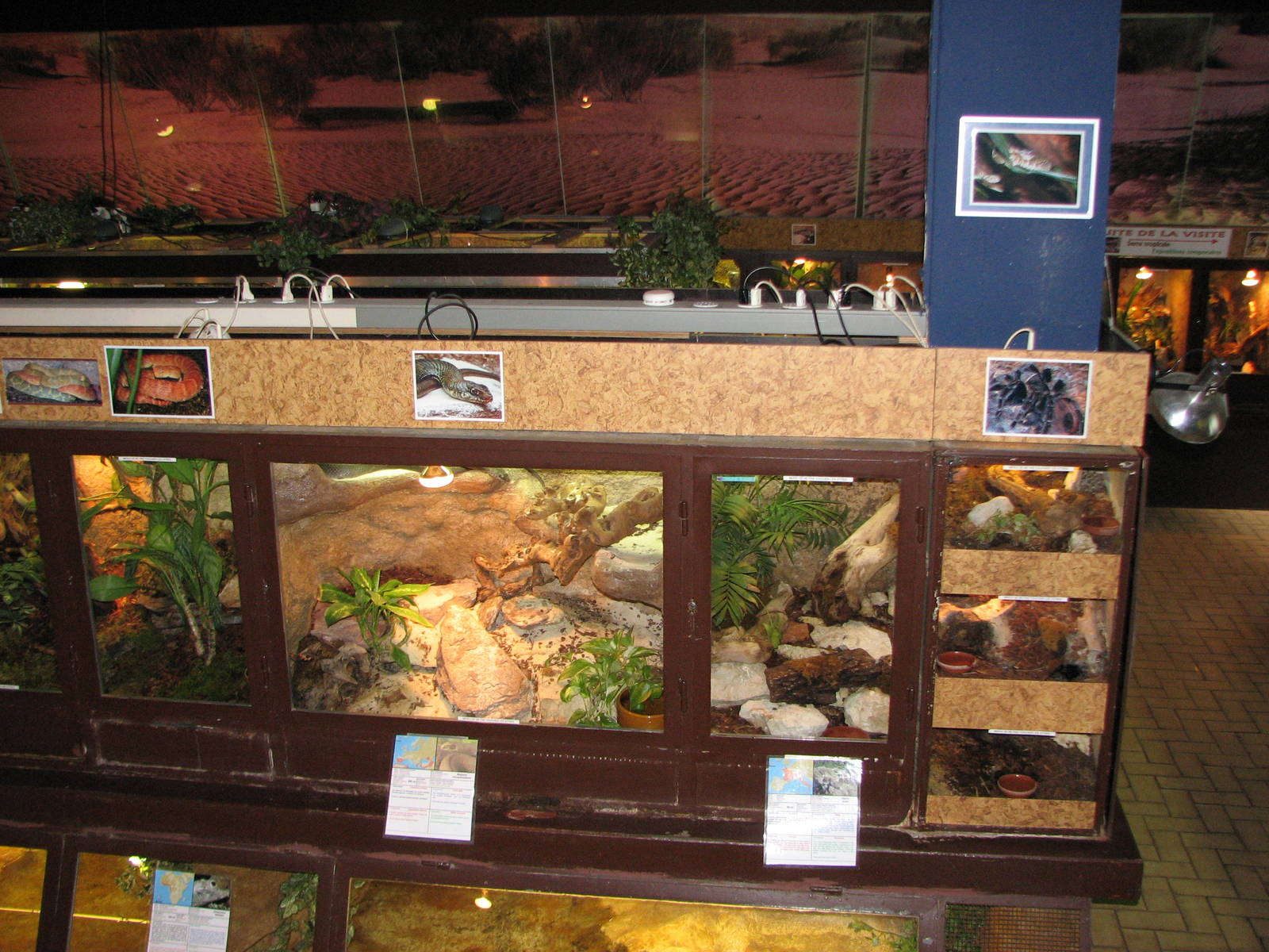 Vivarium de Lausanne 2006 - General view inside the Vivarium