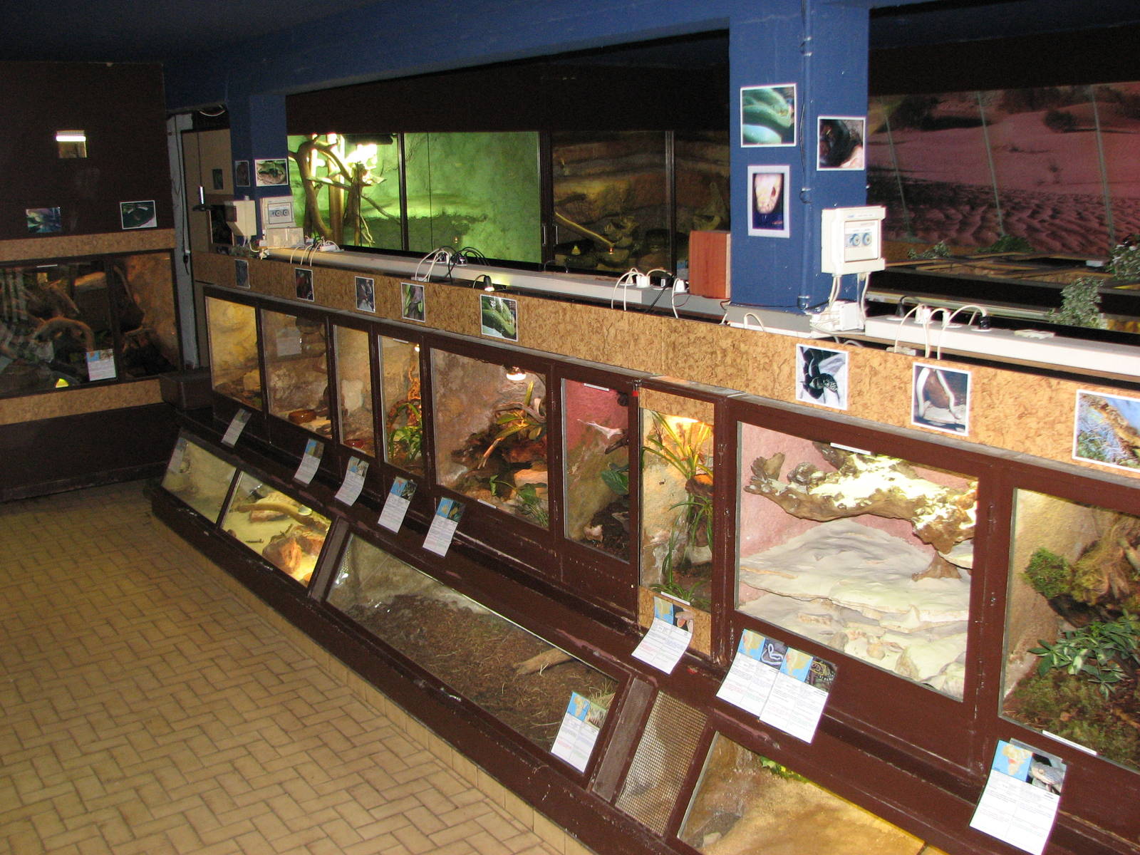 Vivarium de Lausanne 2006 - General view inside the Vivarium