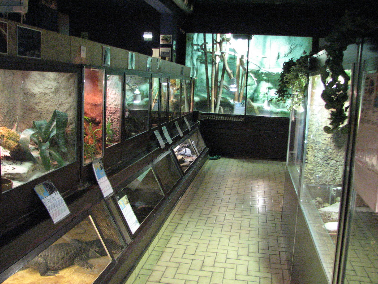 Vivarium de Lausanne 2006 - General view inside the Vivarium
