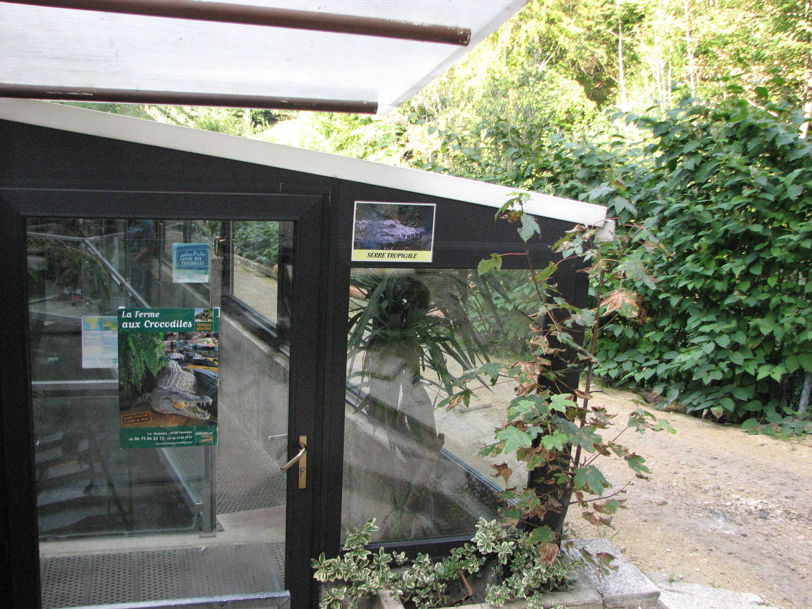Vivarium de Lausanne 2006 - Outside Entrance to Crocodile Tropics