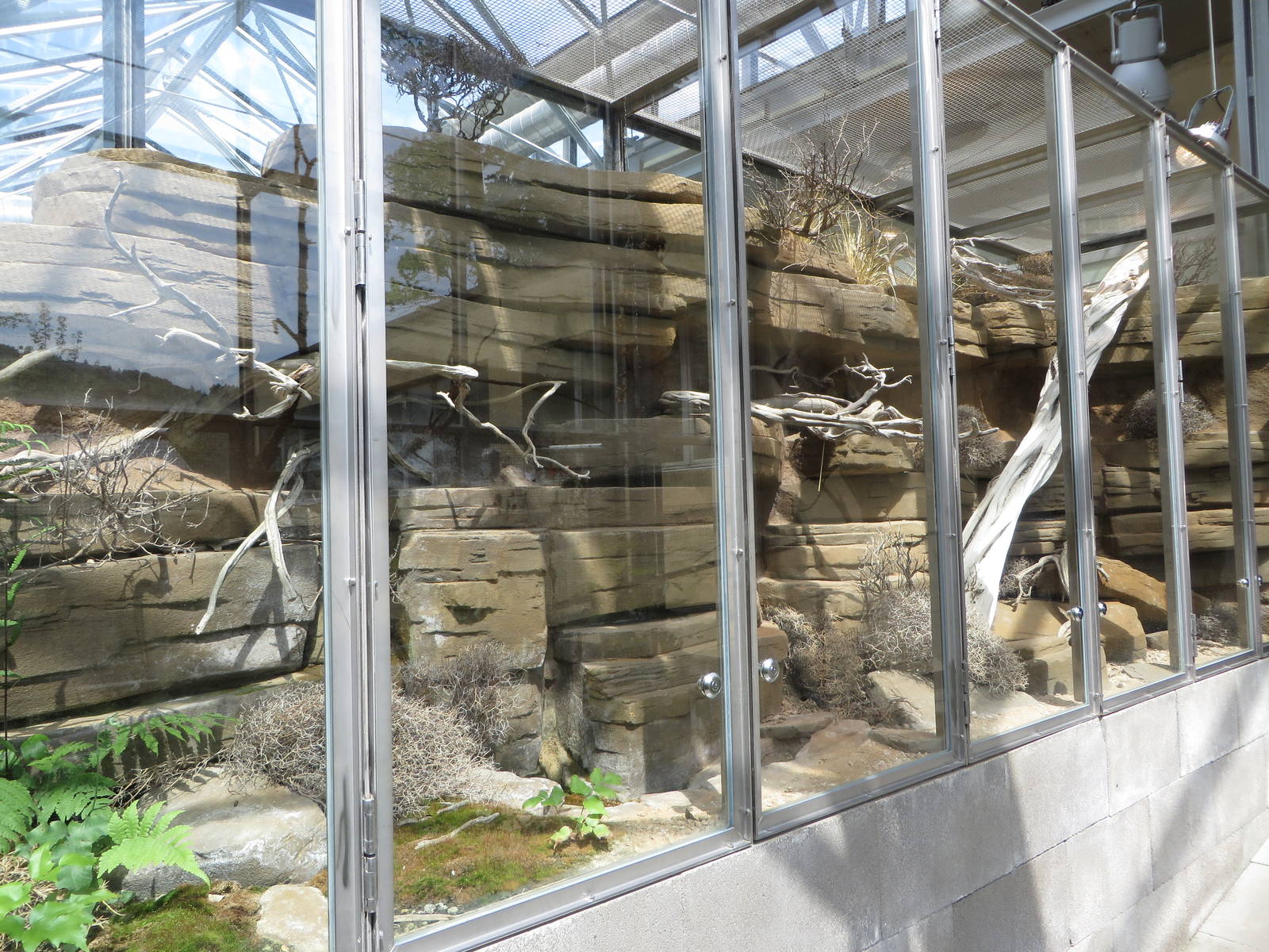 Vivarium - desert terrariums