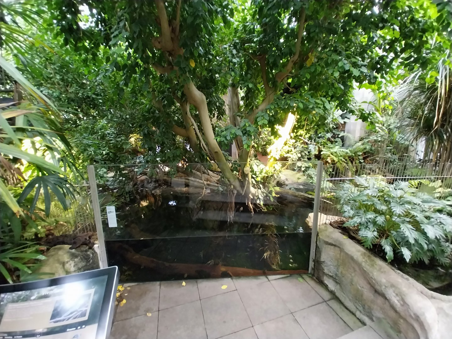 Vivarium - Dwarf crocodile enclosure