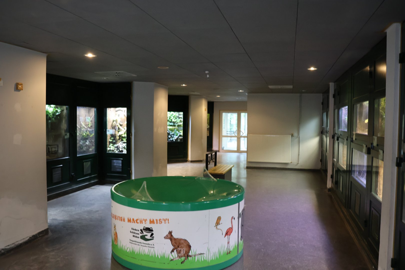 Vivarium - First room