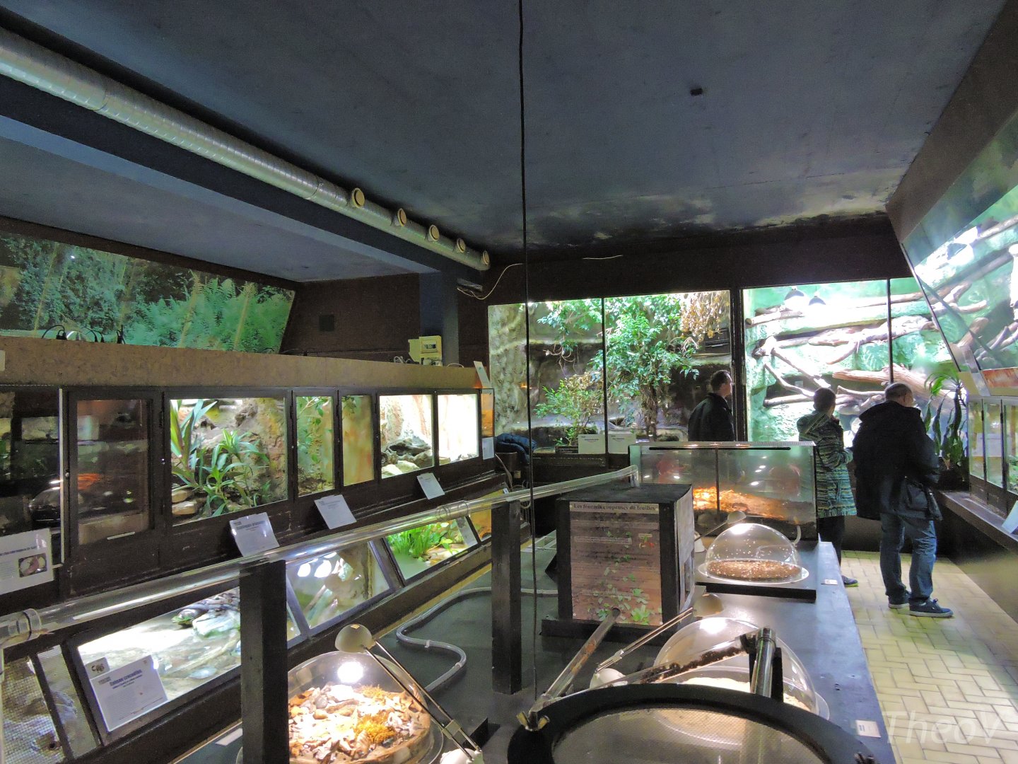 Vivarium general view [2015]