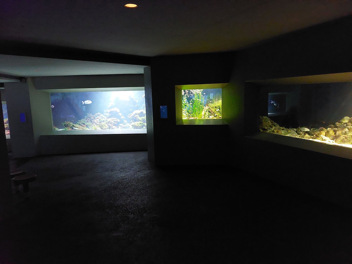 Vivarium - general view