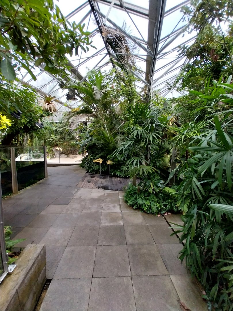 Vivarium - General view