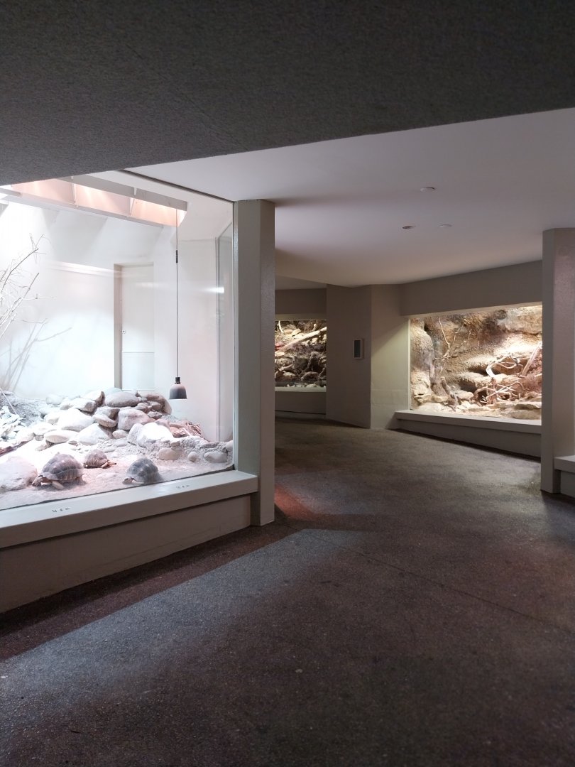 Vivarium - General view