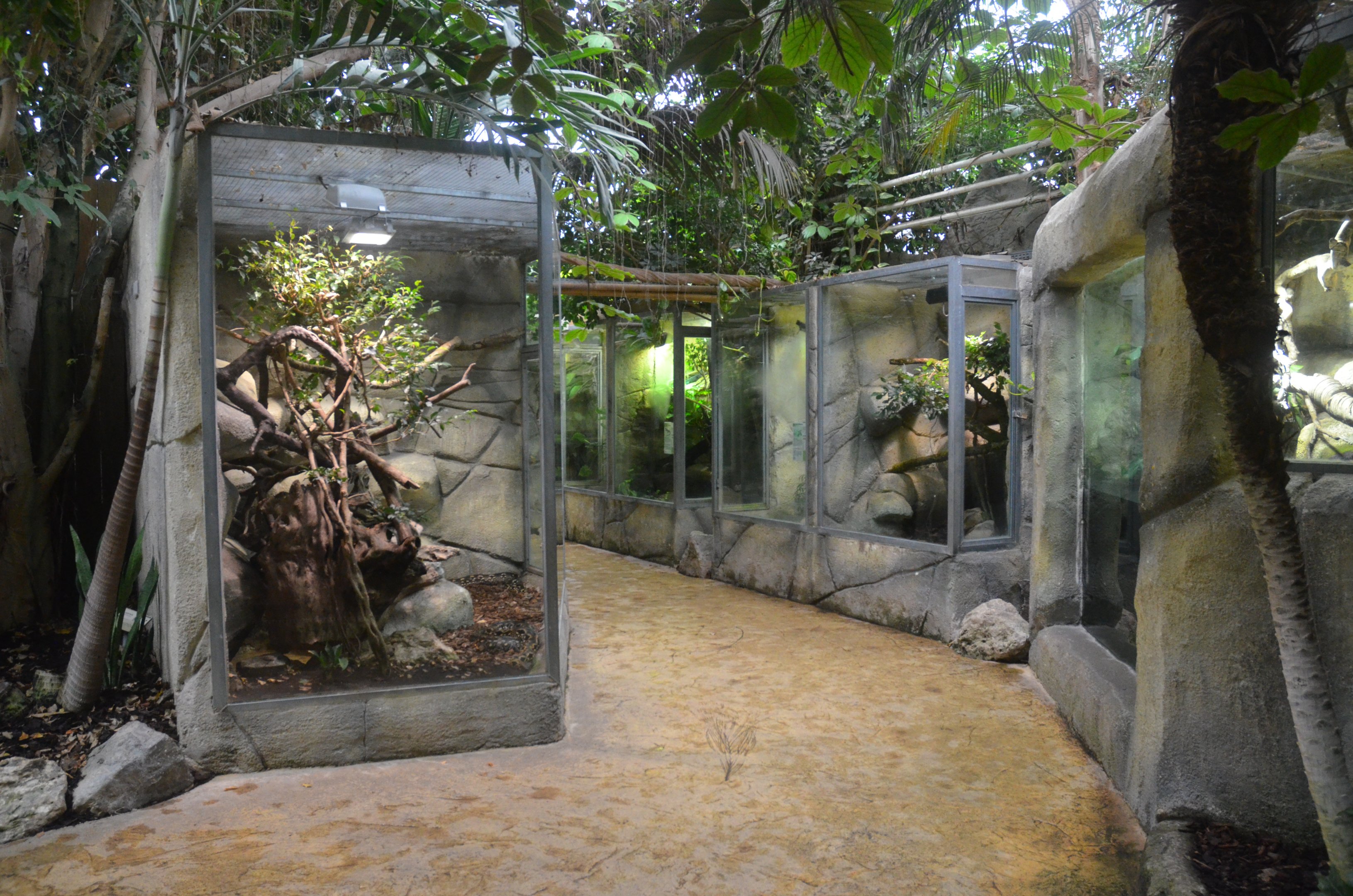 Vivarium Interior at Beauval, 12/06/18