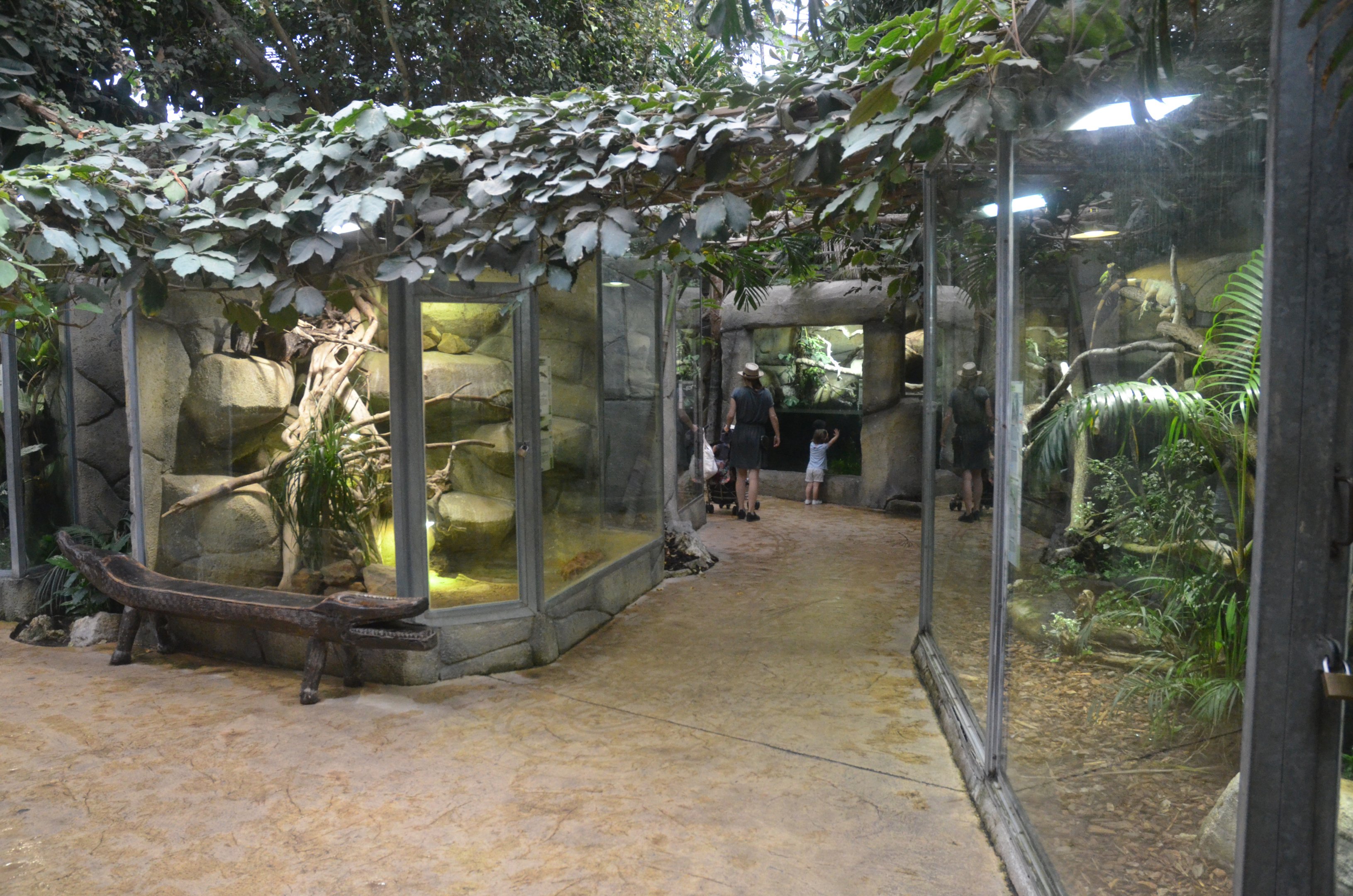 Vivarium Interior at Beauval, 12/06/18