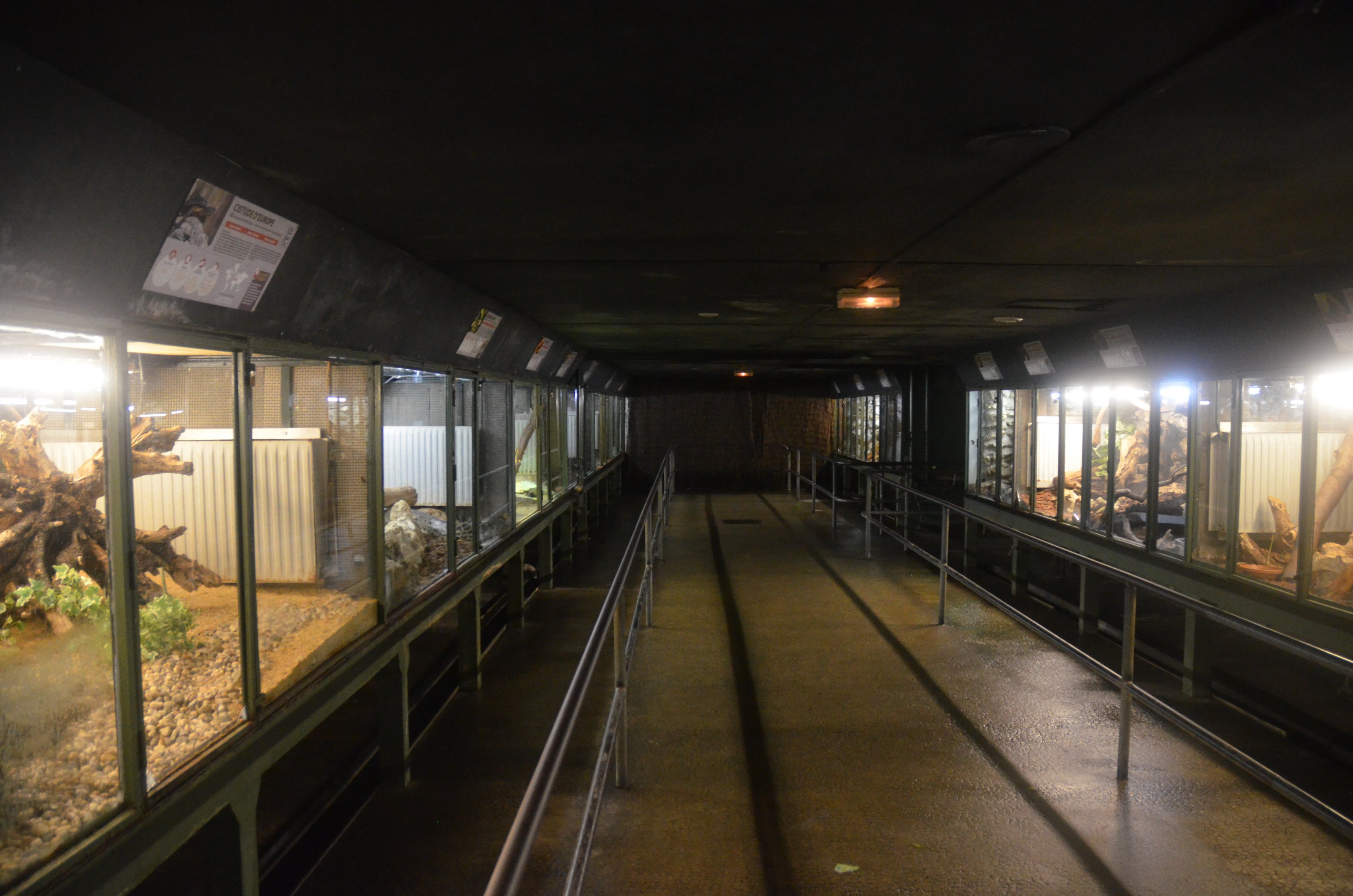 Vivarium Interior at La Flèche, 11/06/18