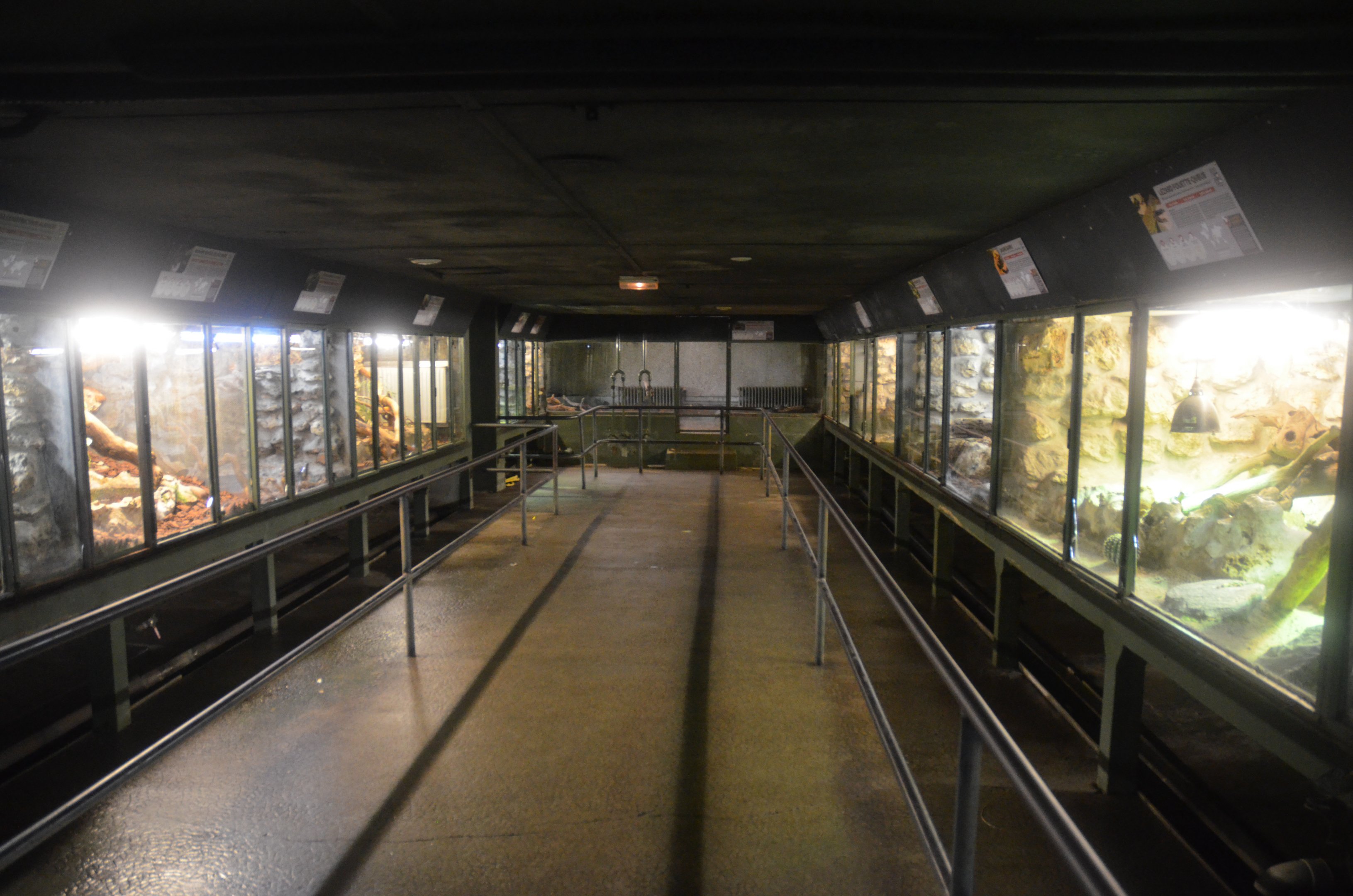Vivarium Interior at La Flèche, 11/06/18