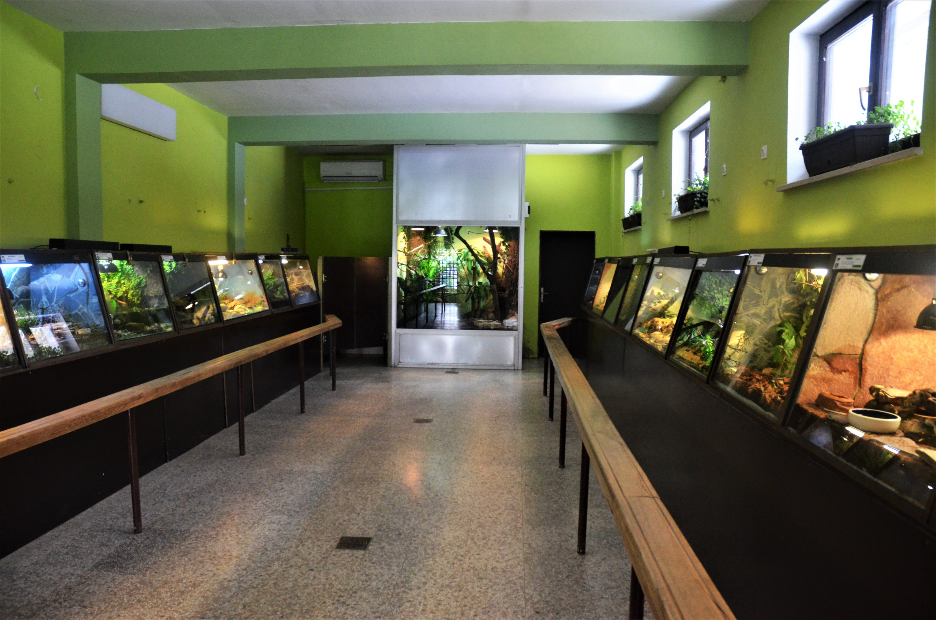 Vivarium Interior at Ljubljana Zoo, 07/03/18