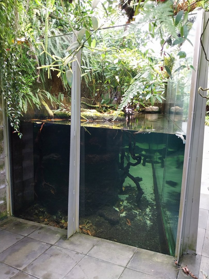 Vivarium - Mangrove aquarium