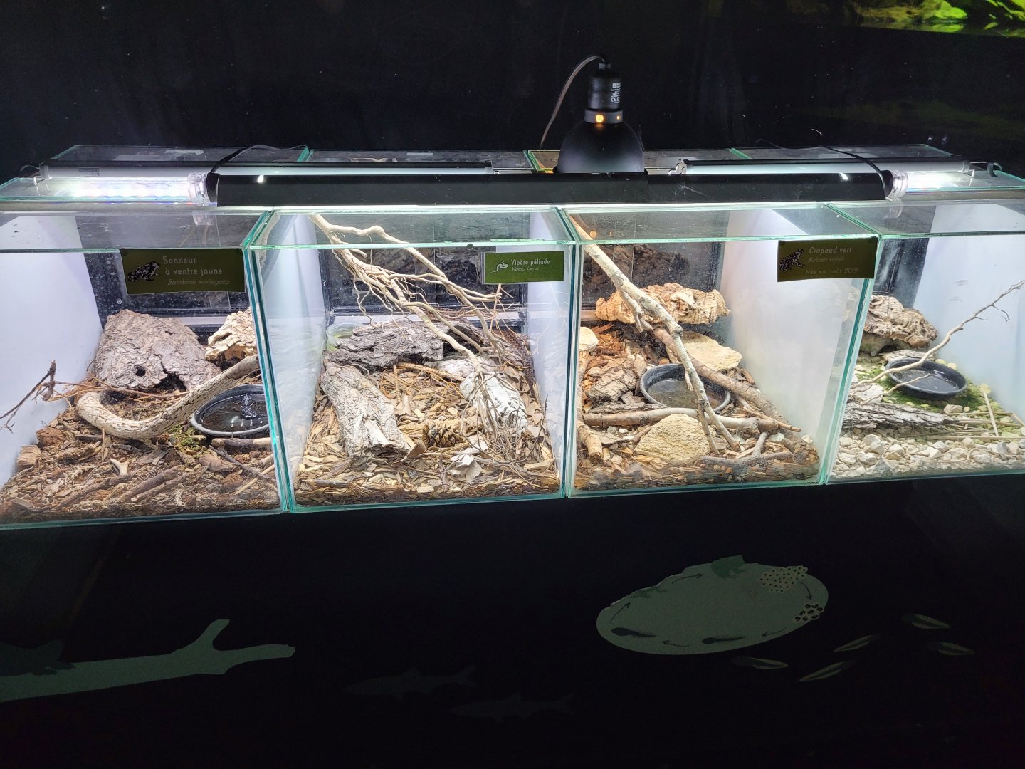 Vivarium nursery -Parc Zoologique de Paris (2022)