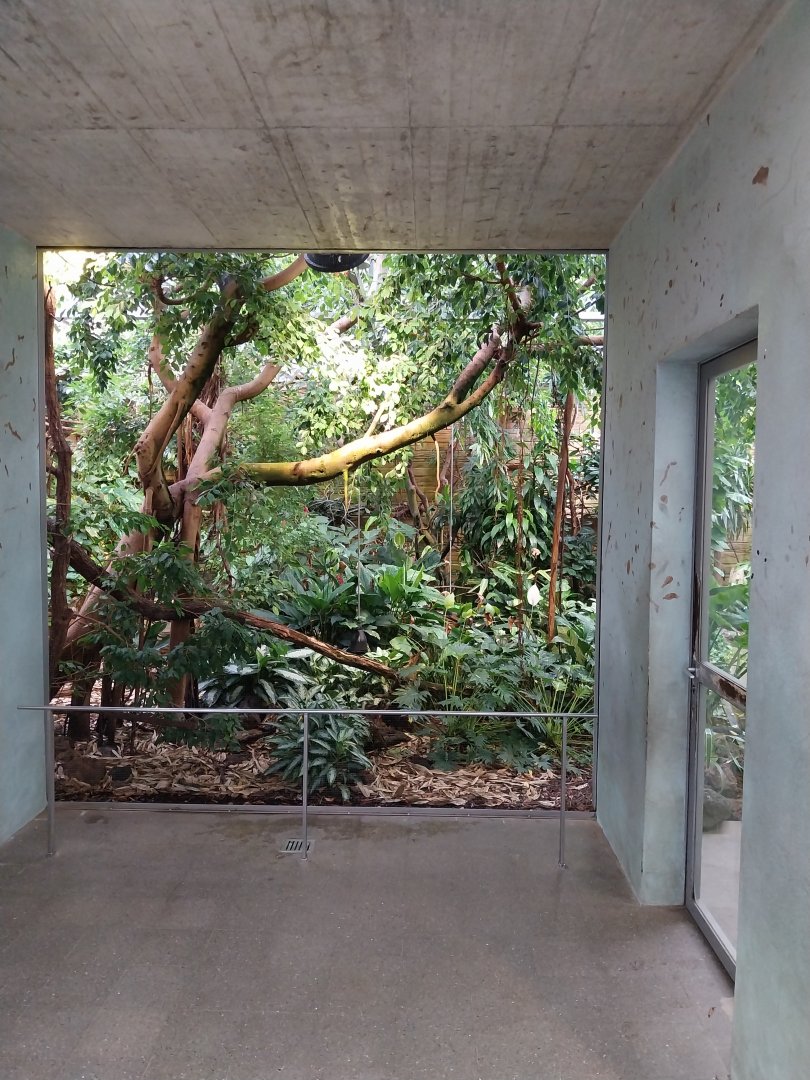 Vivarium - Rainforest