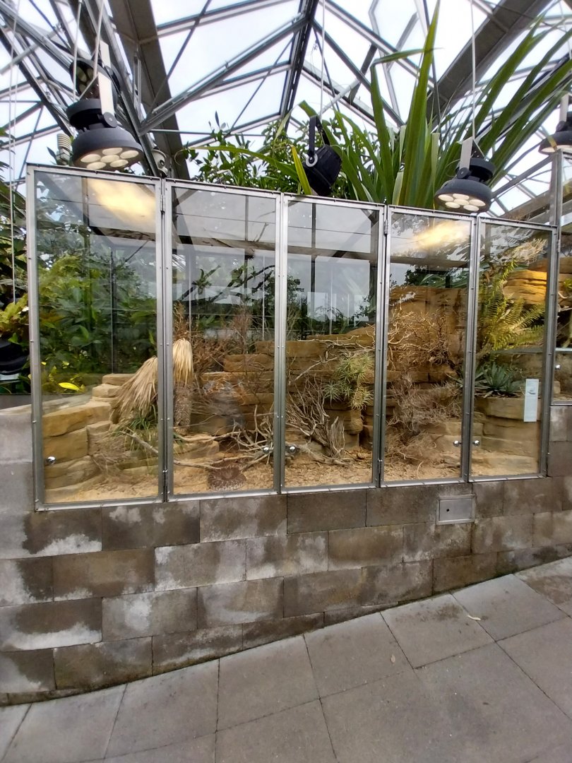 Vivarium - Red diamond rattlesnake terrarium