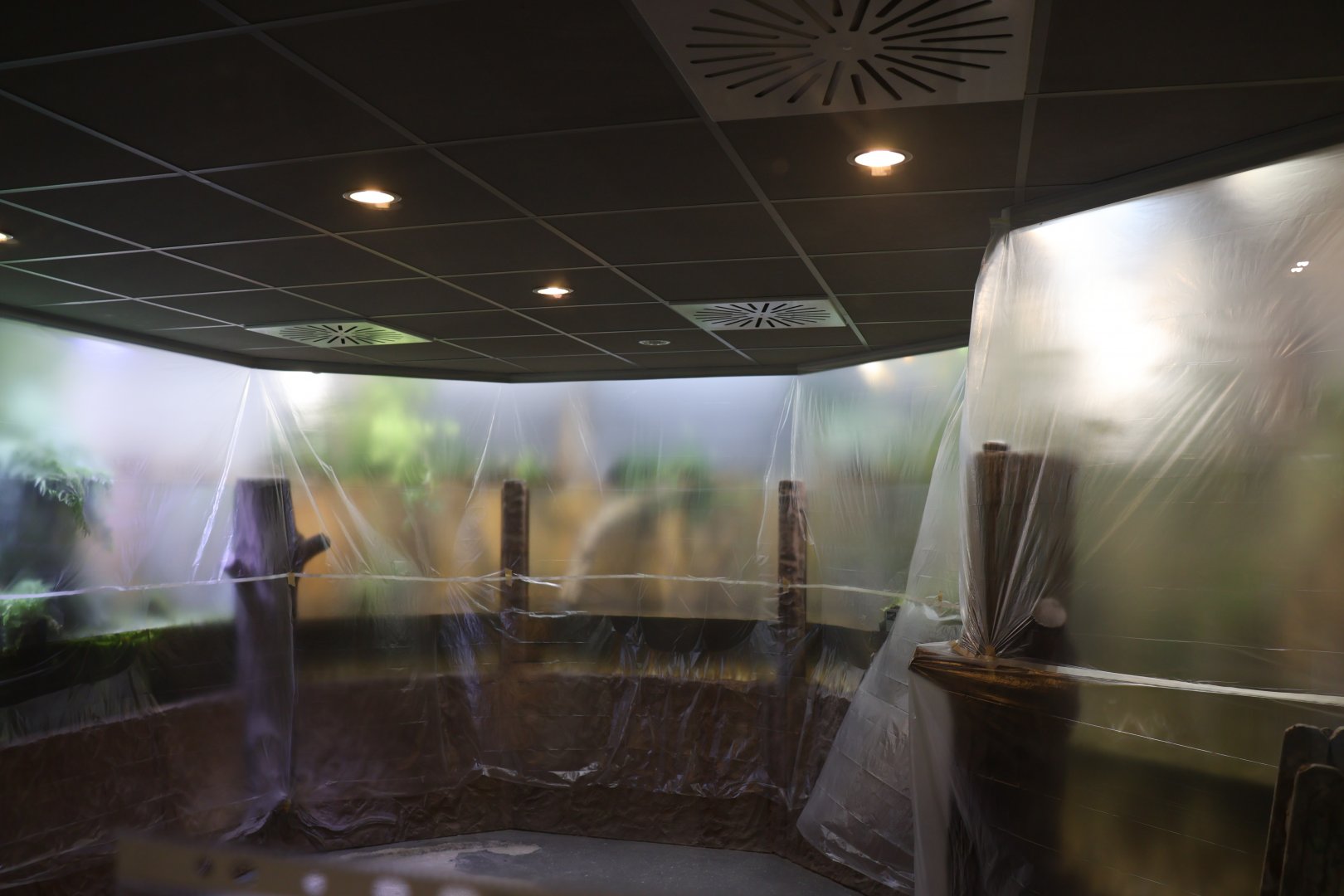 Vivarium - renovation