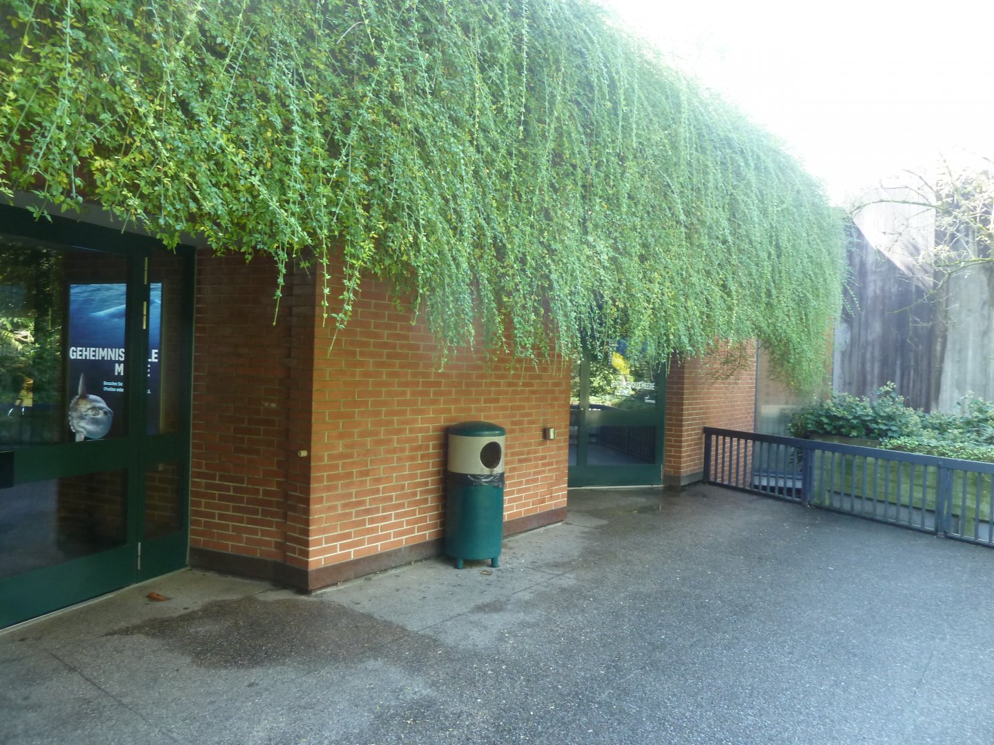 Vivarium - Reptile entrance