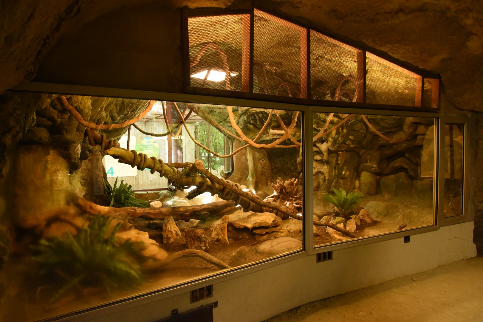 Vivarium - Royal Python terrarium