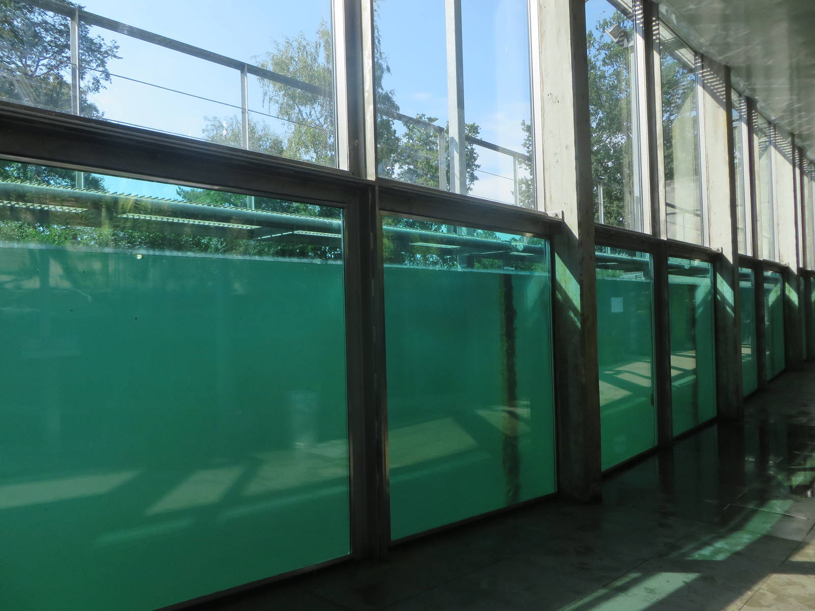 Vivarium - seal underwater viewing