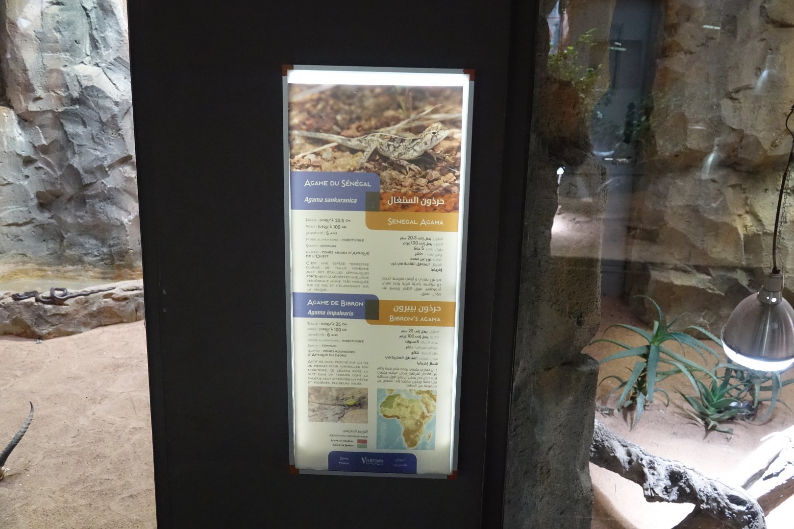 Vivarium Signage