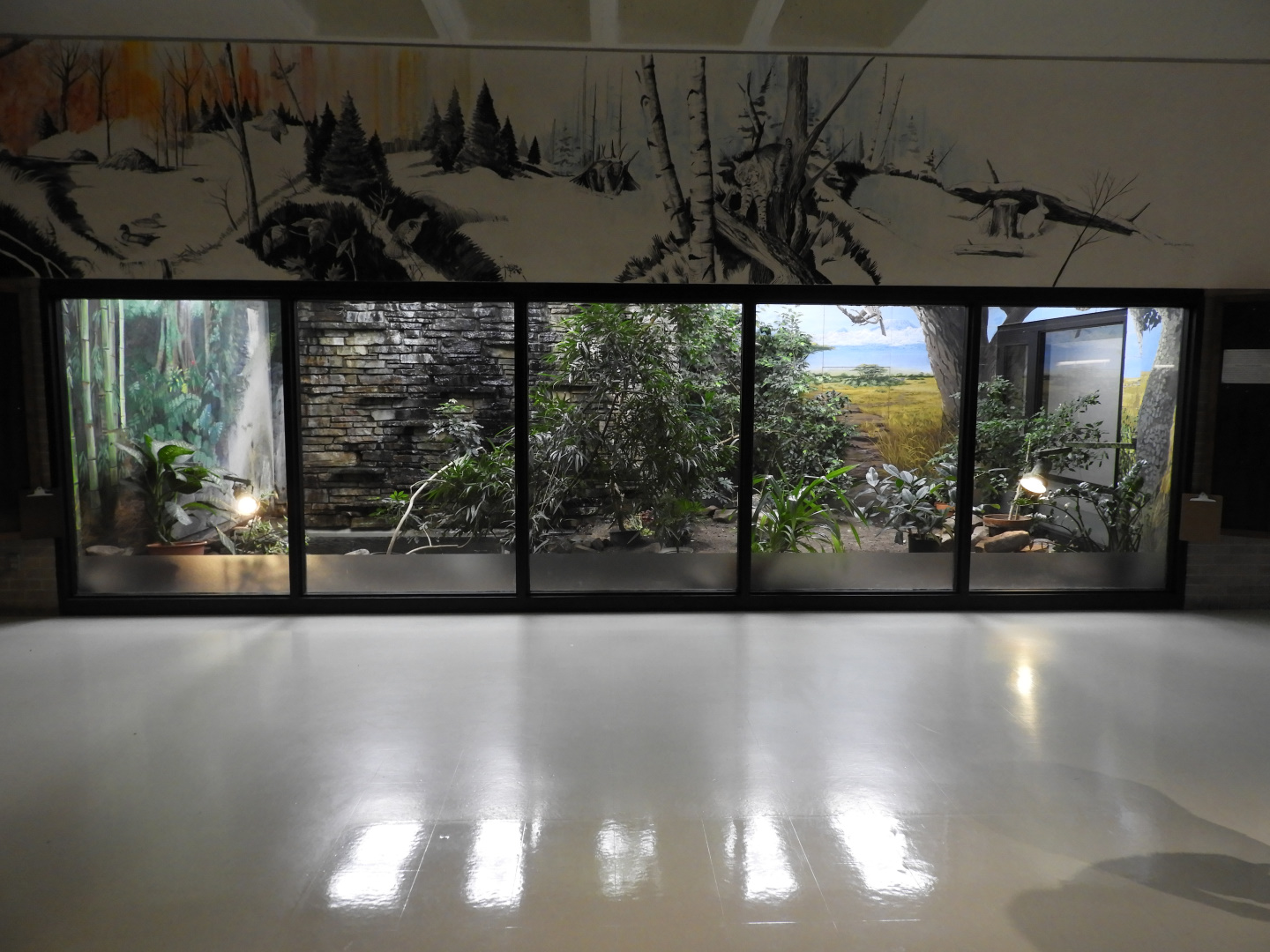 Vivarium - Stevens Point Herpetological Society