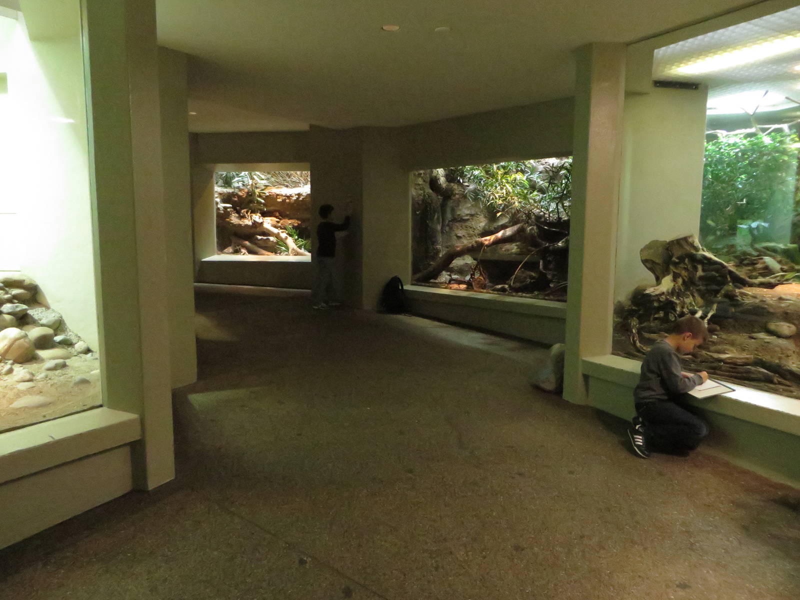 Vivarium - terrarium section