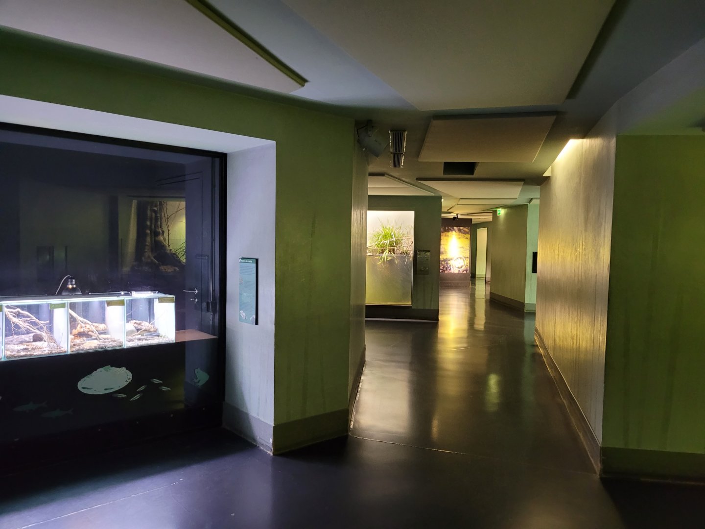 Vivarium view -Parc Zoologique de Paris (2022)