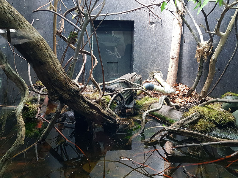 vivarium