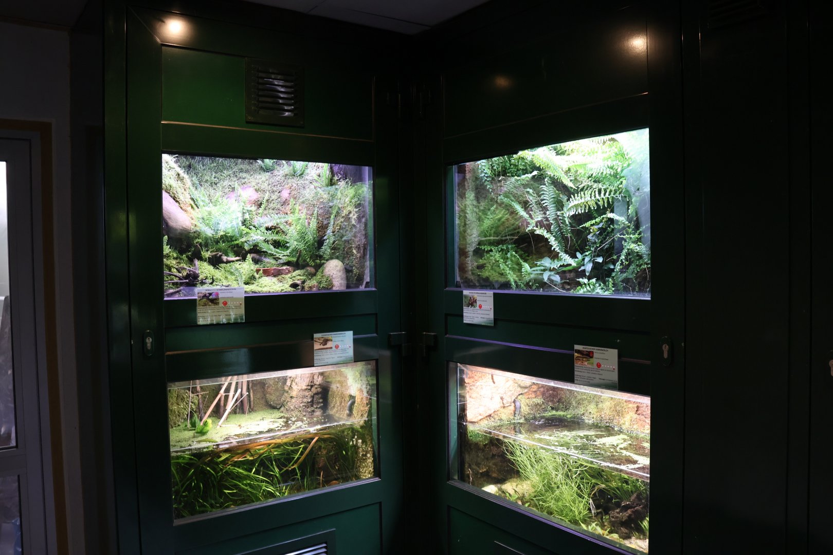 Vivarium
