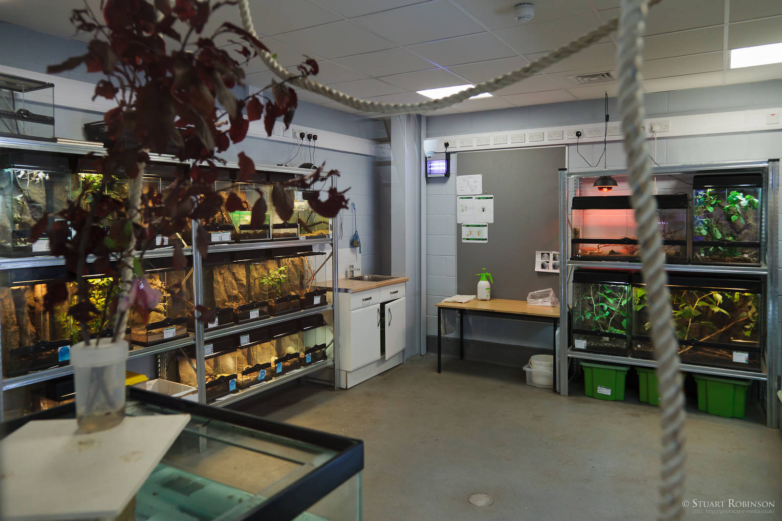 Vivariums - 23/07/2011