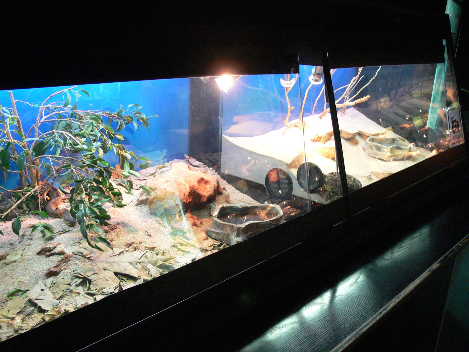 Vivariums at Terra Natura, 03/08/14