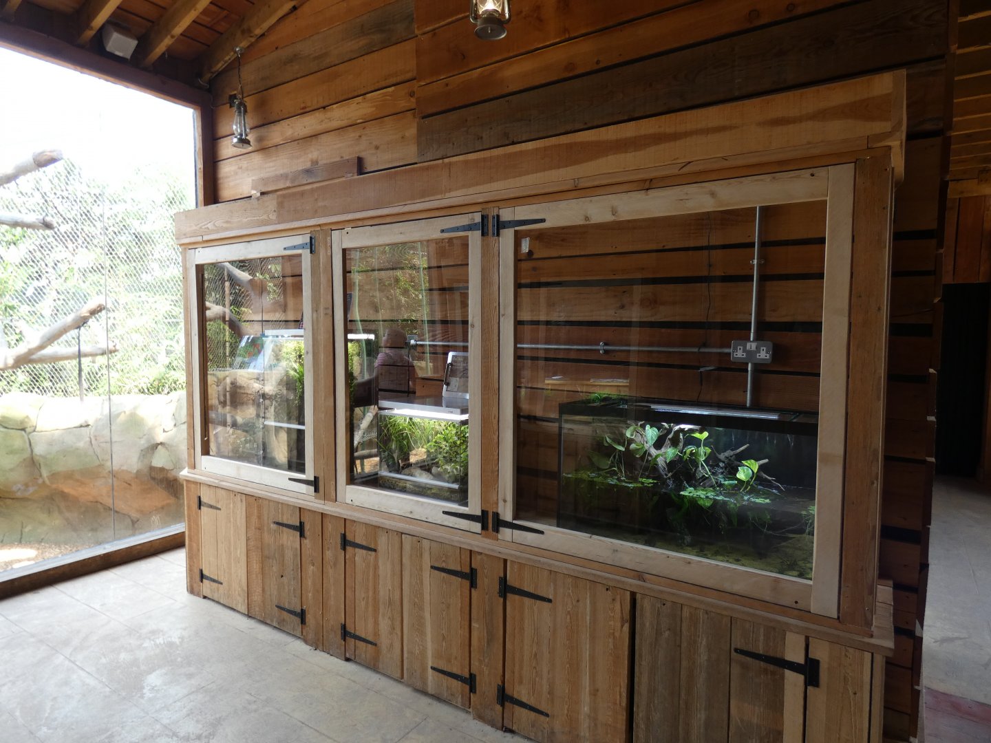 Vivariums in Monsoon Forest