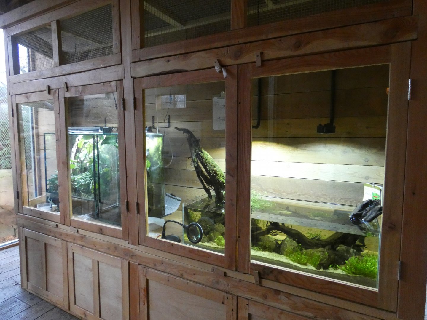 Vivariums in Orangutan viewing area