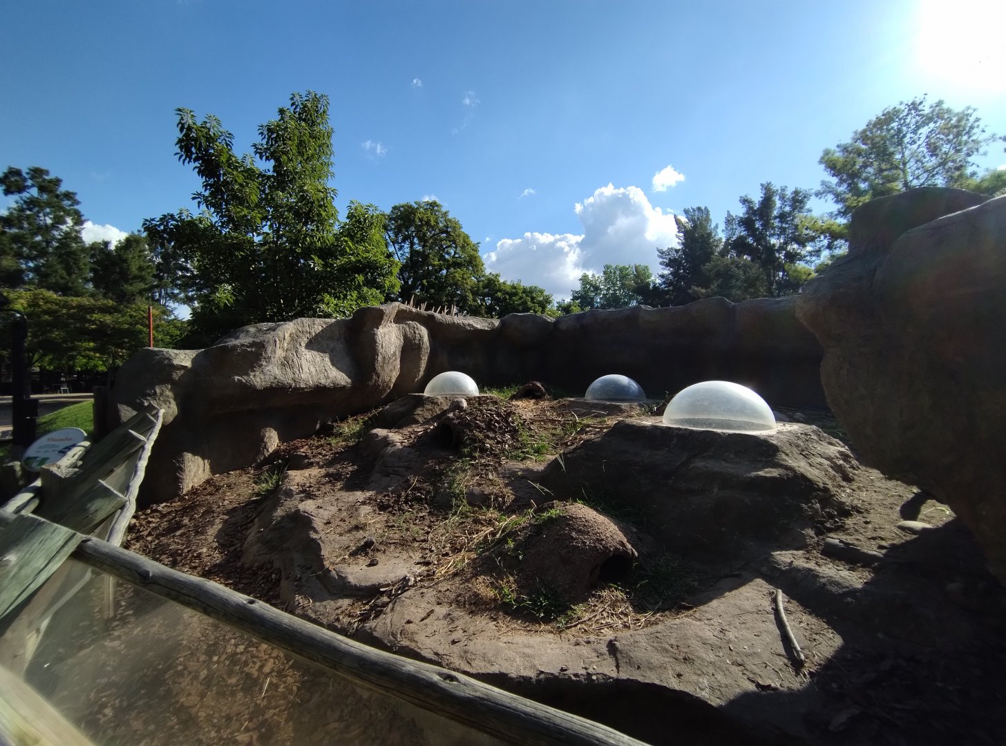 Vizcacha exhibit - Temaiken