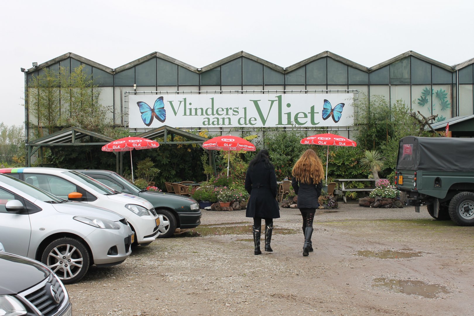 Vlinders aan de Vliet