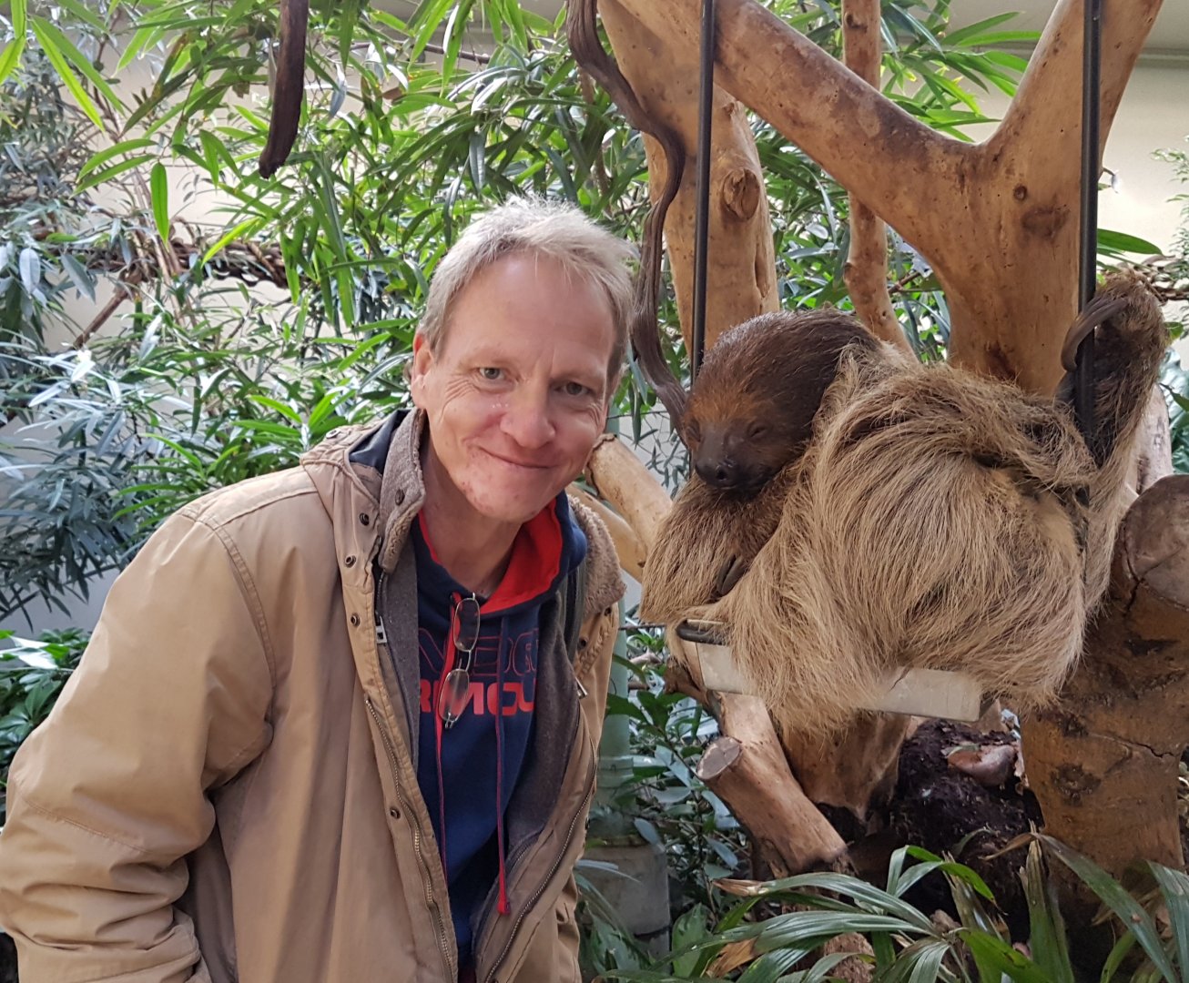 Vogelcommando and sloth - Artis Royal Zoo