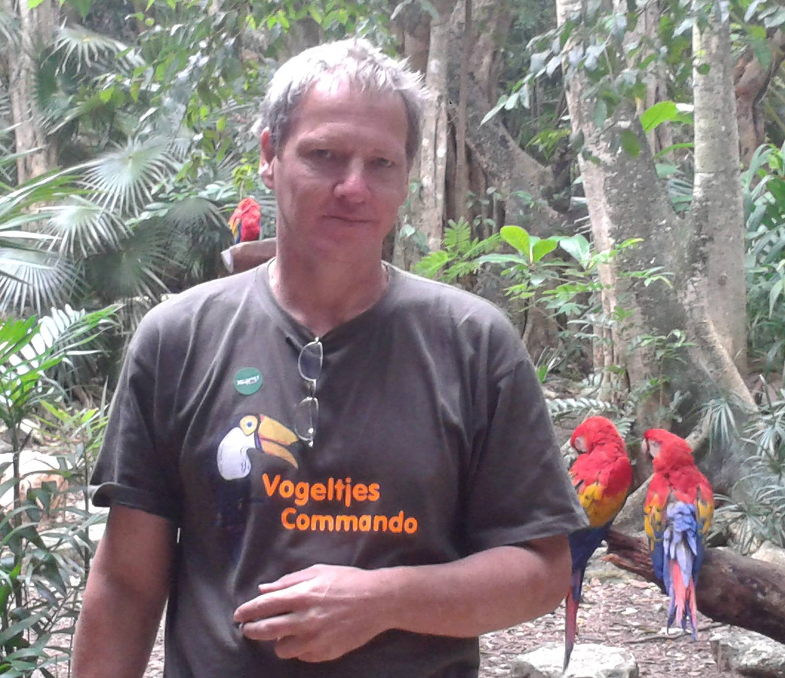 Vogelcommando with Scarlet macaws